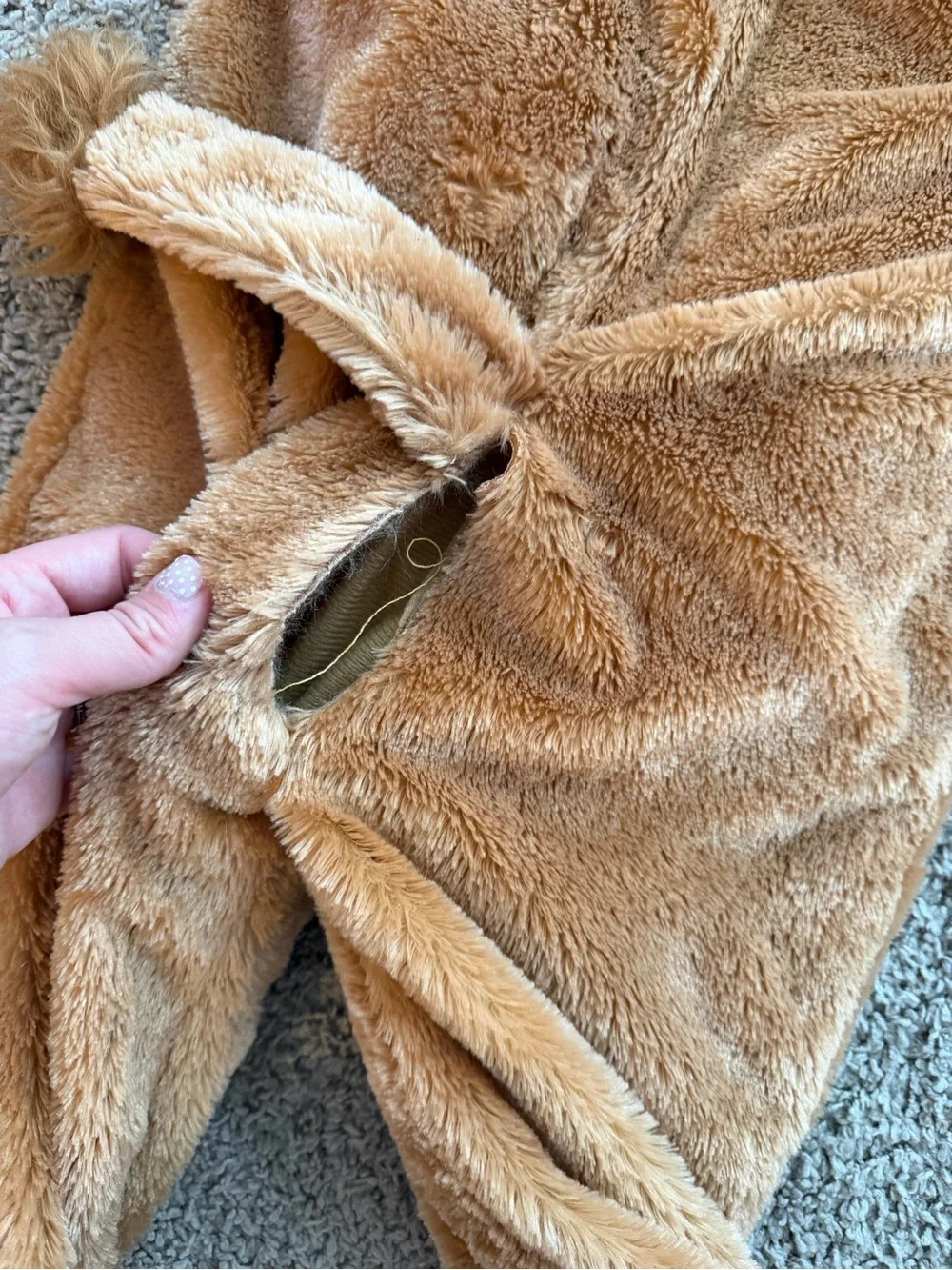 Cozy Lion Costume 3T